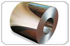 Hot Rolled Coils/Sheets